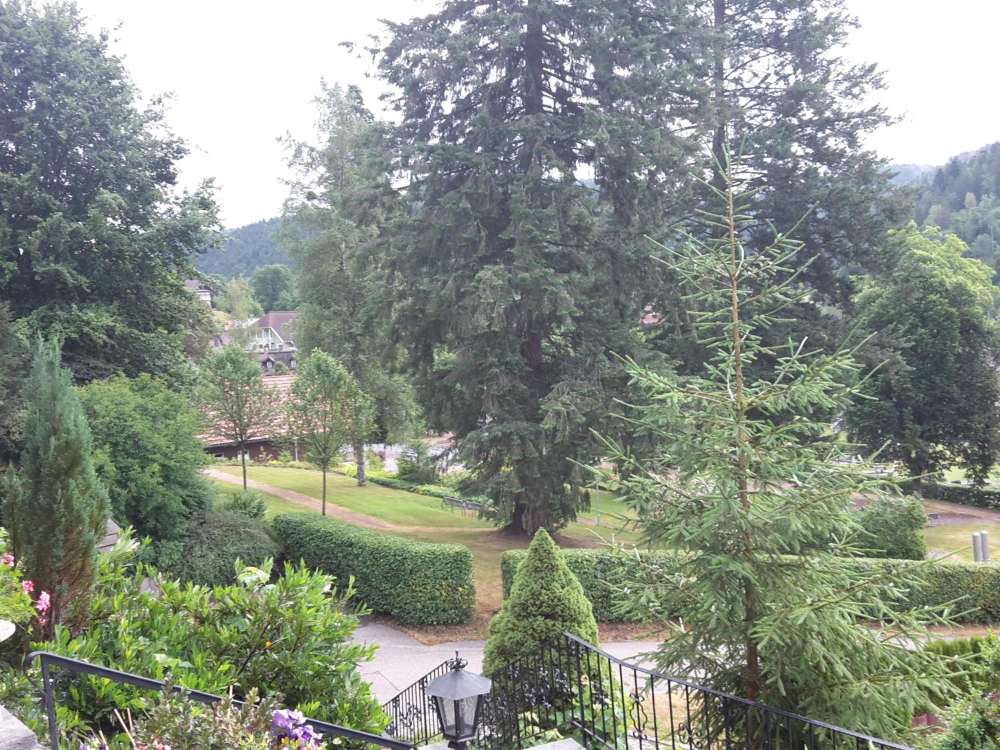 Villa Haus Kurparkblick Todtmoos Esterno foto