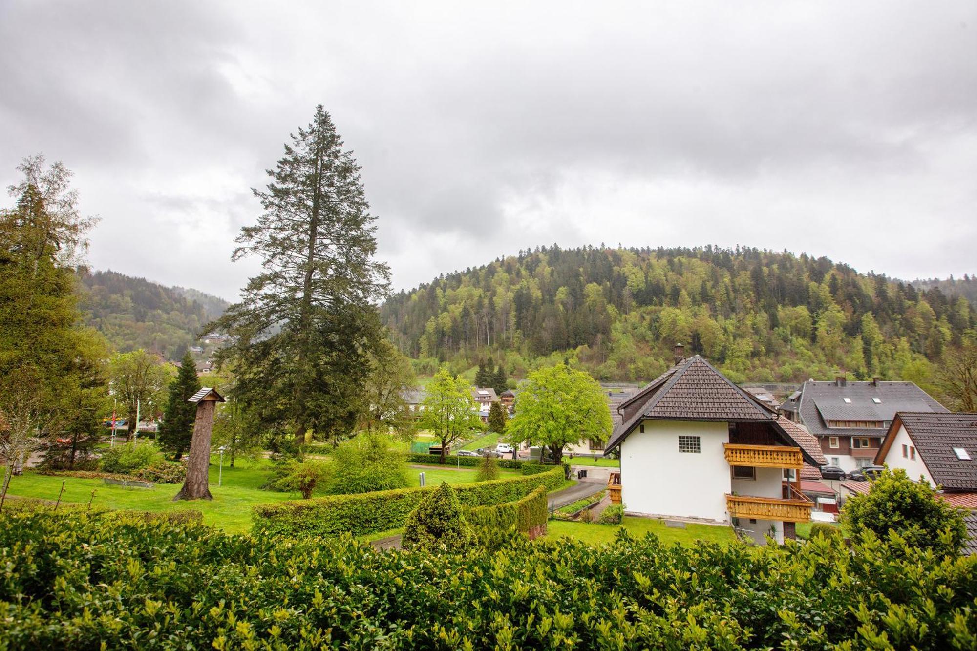 Villa Haus Kurparkblick Todtmoos Esterno foto
